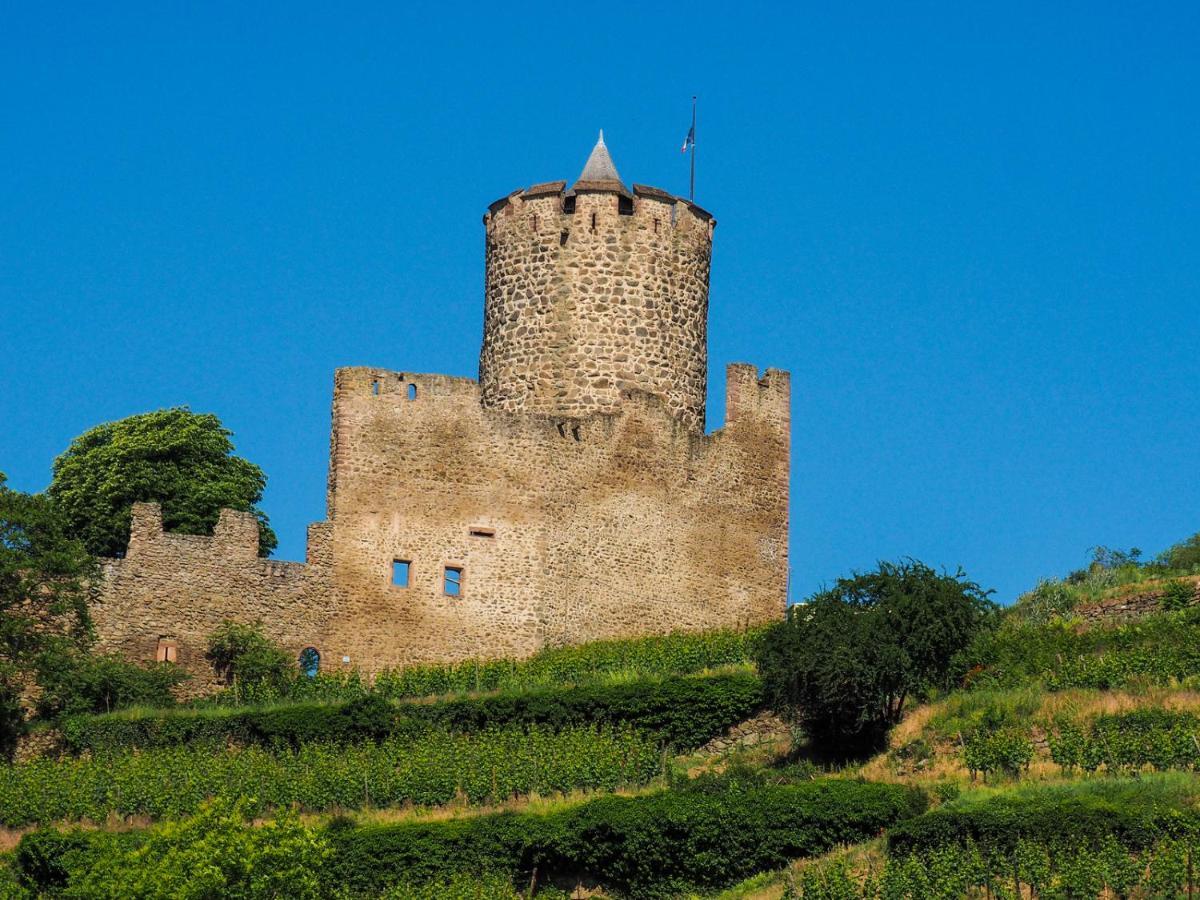 Les Chambres De La Weiss Kaysersberg-Vignoble Exterior foto